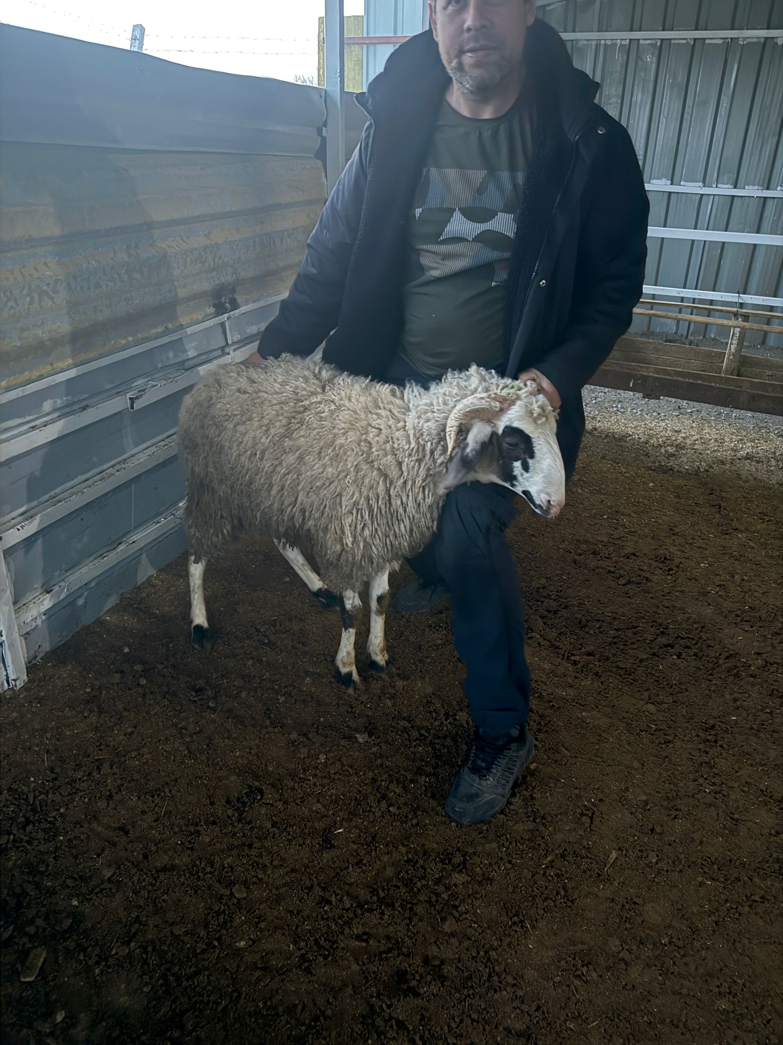 Çiftlikten görüntü