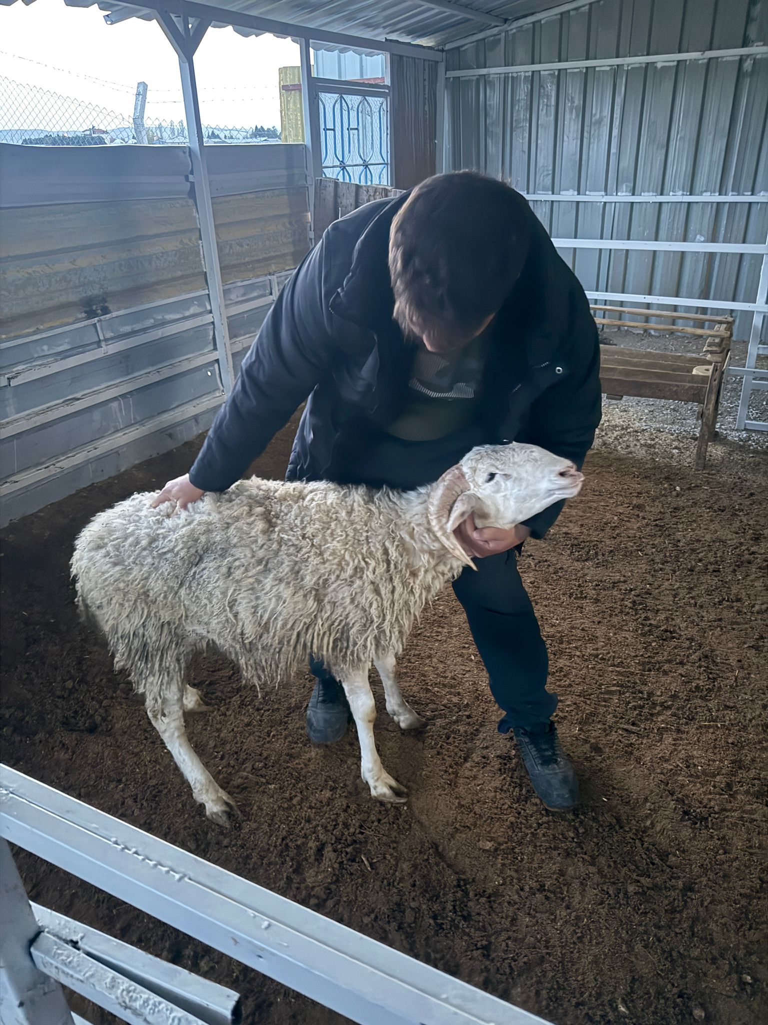 Çiftlikten görüntü