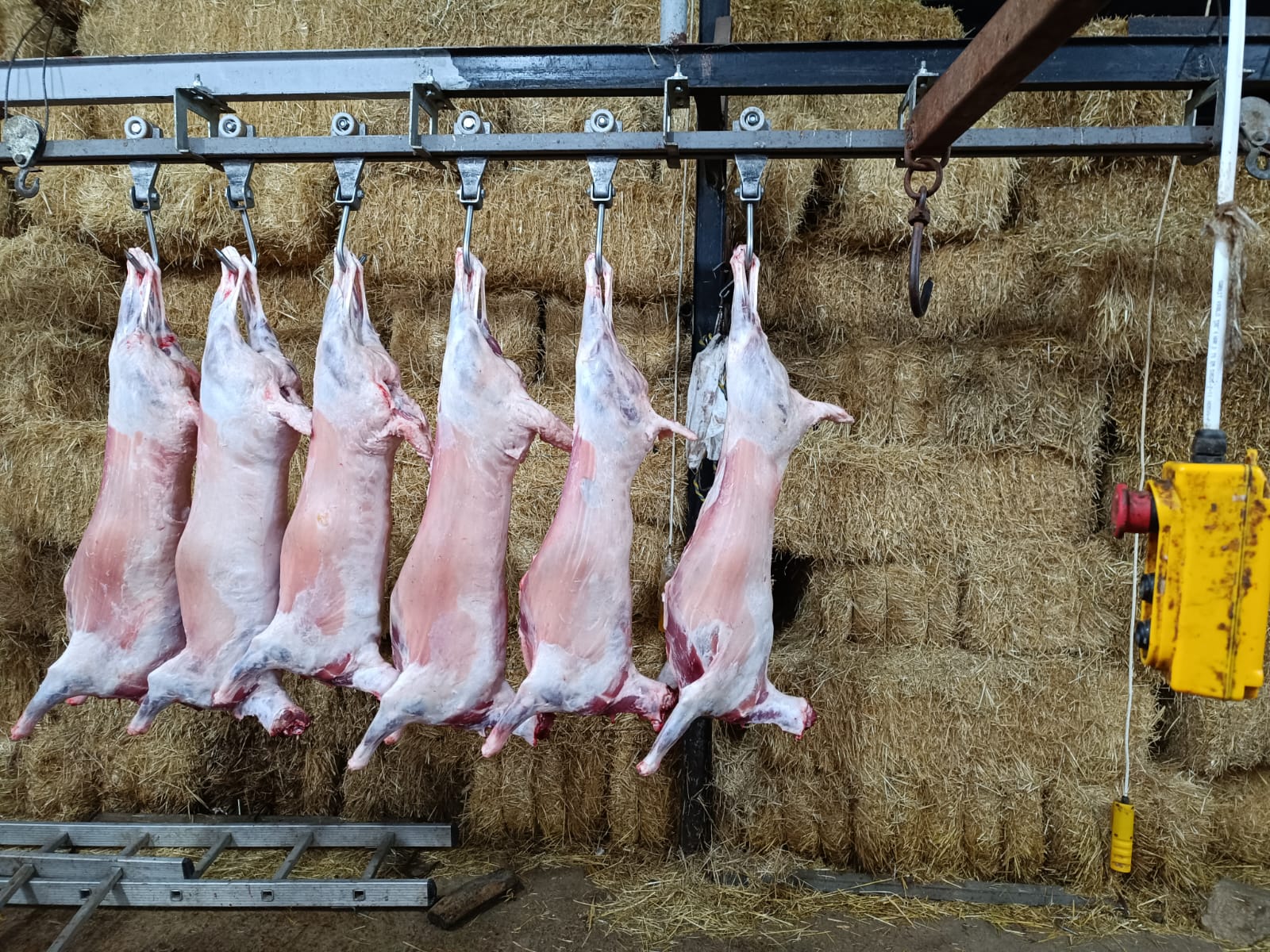 Çiftlikten görüntü