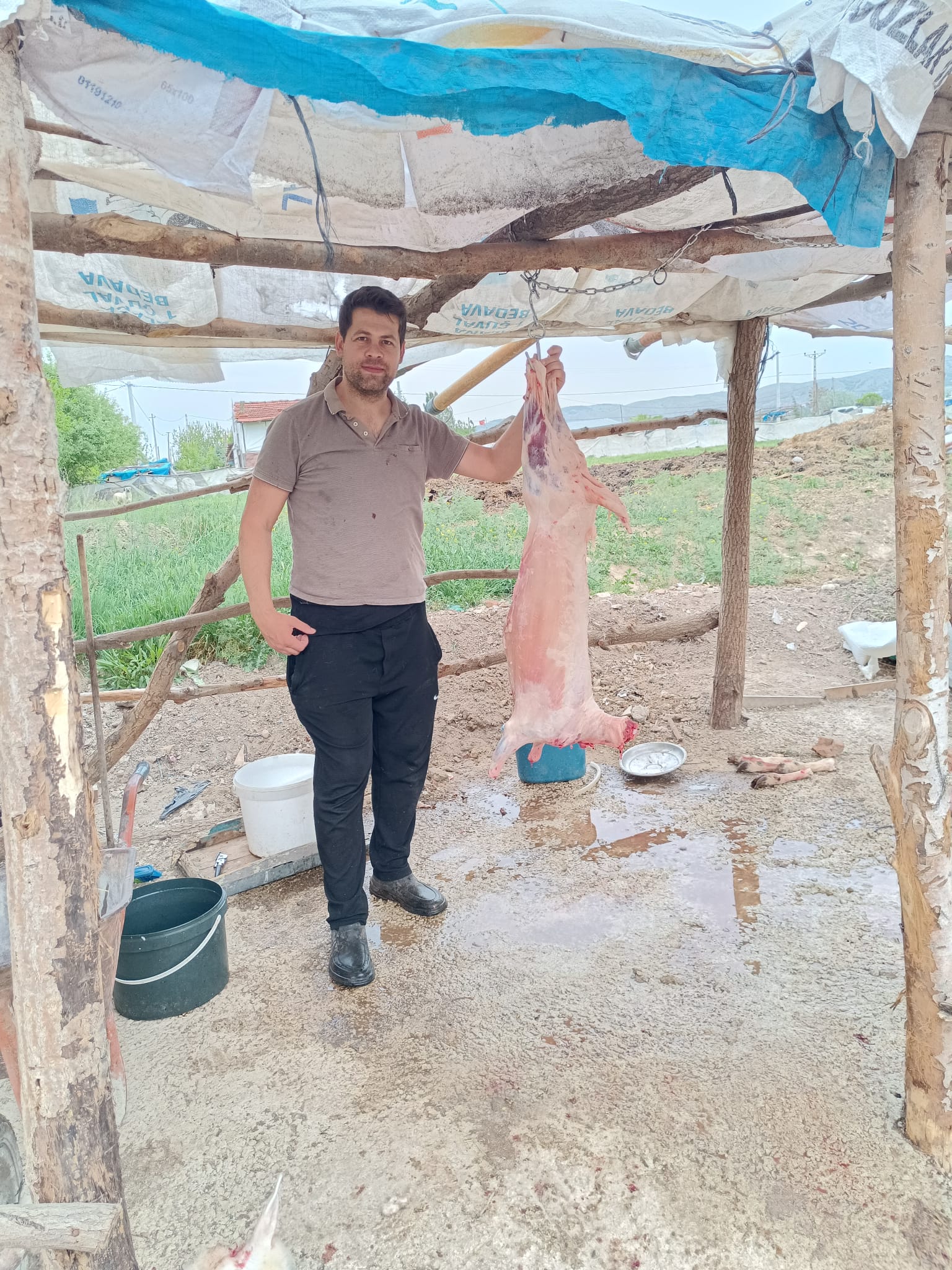 Çiftlikten görüntü