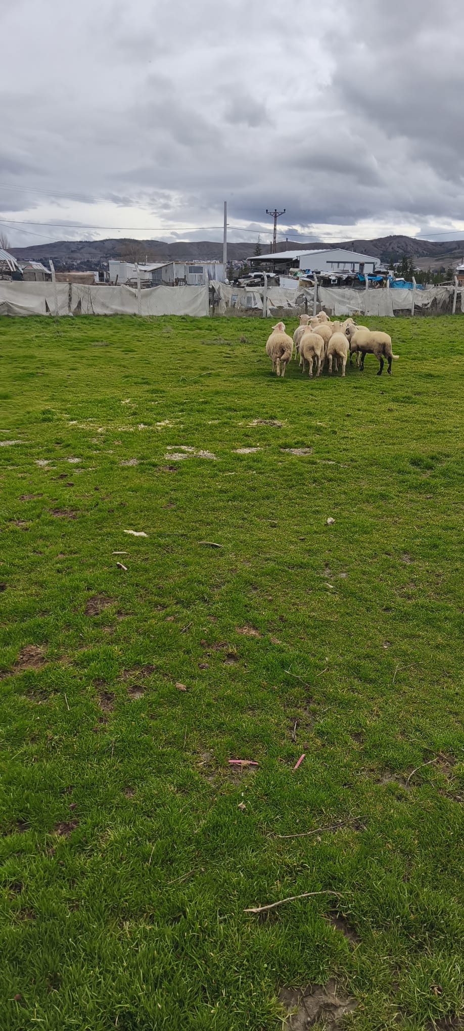 Çiftlikten görüntü